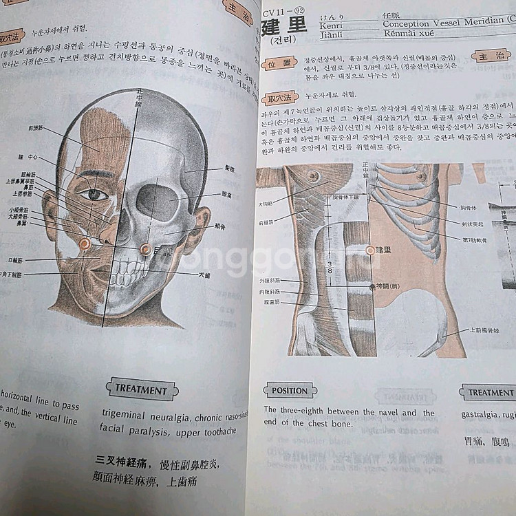 한의학 침술 뜸 혈자리 도서--3