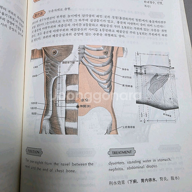 한의학 침술 뜸 혈자리 도서--4