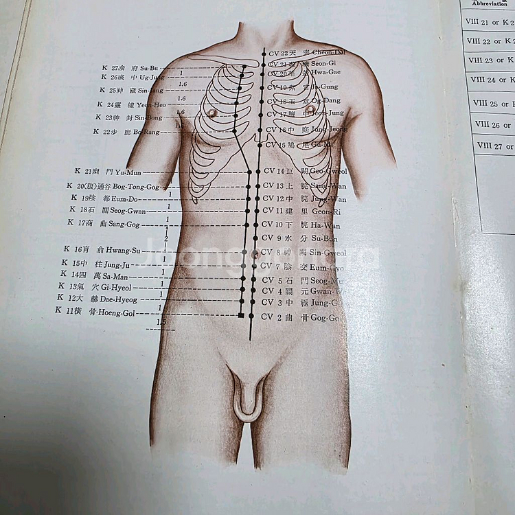 침구경혈도감(칼라판) 중고 판매합니다--2