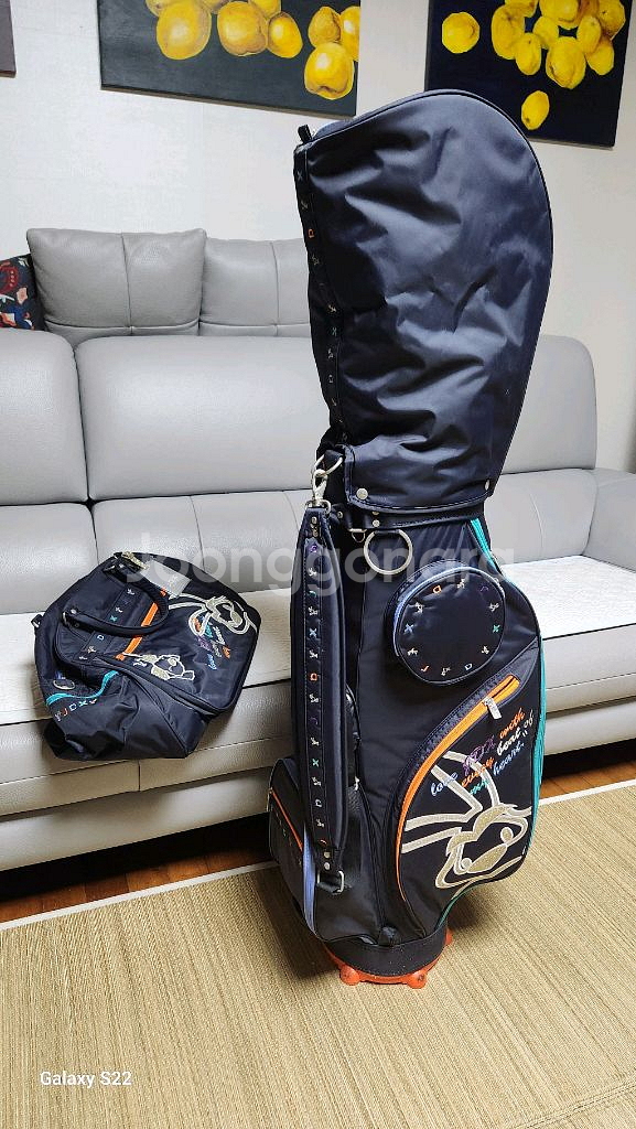 여성 골프채 풀세트(여자 드라이버,아이언, 퍼터, 캐디--1