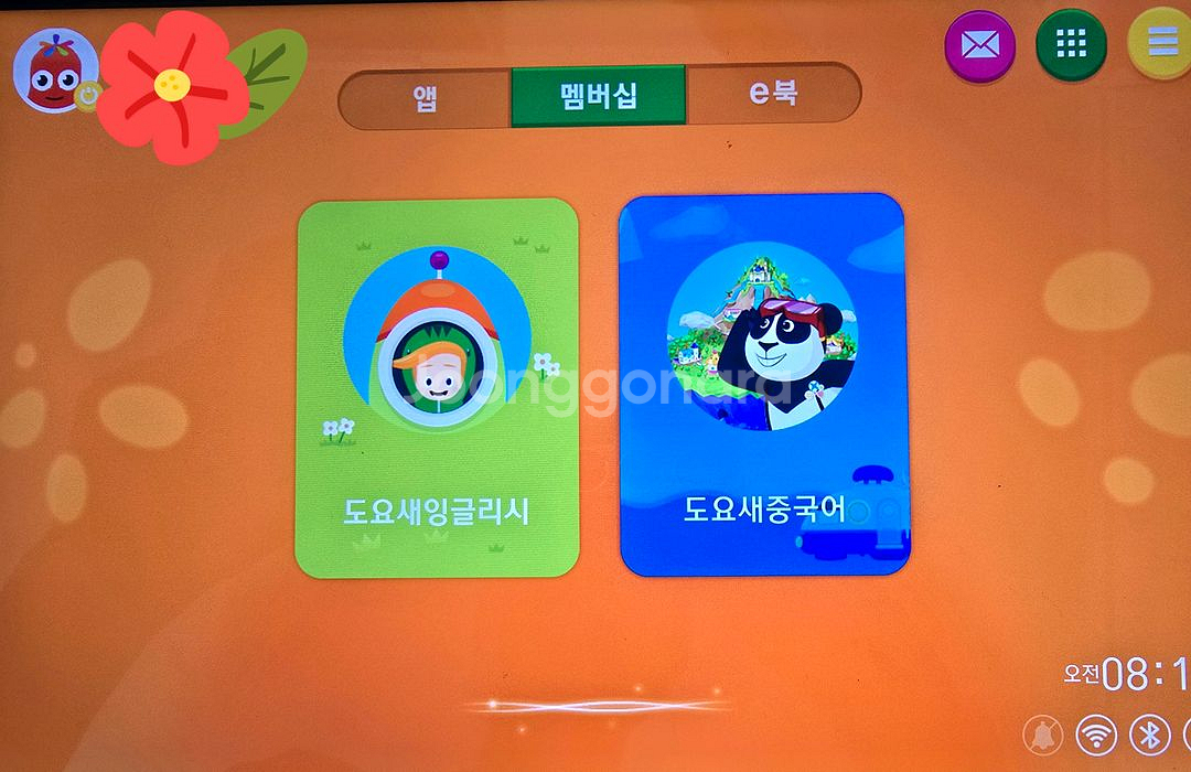 도요새영어 도요새중국어--0