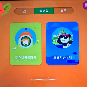 도요새영어 도요새중국어