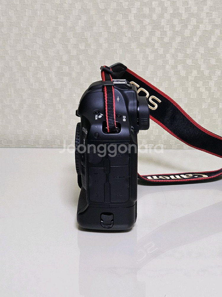캐논 EOS 1DX Mark2--4