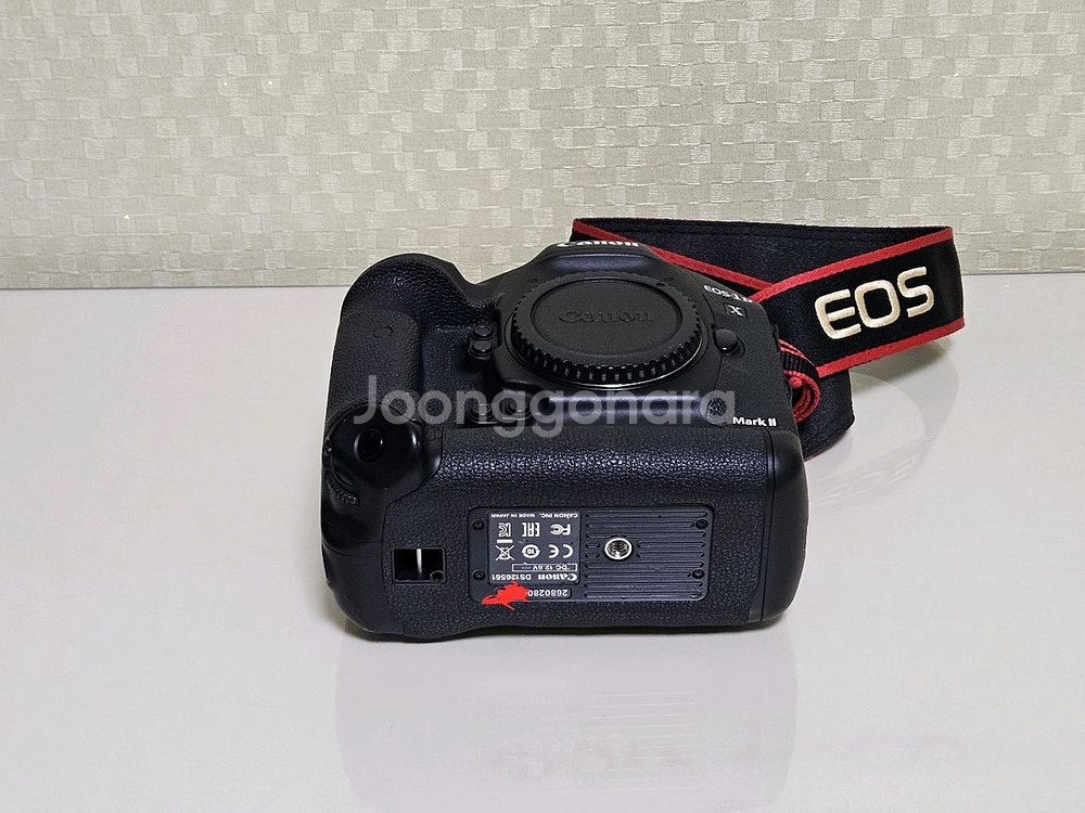 캐논 EOS 1DX Mark2--5