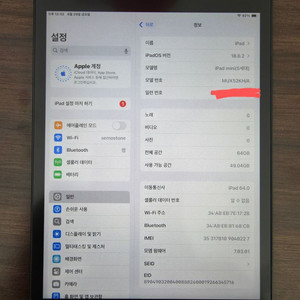 아이패드 미니5 스그 셀룰러