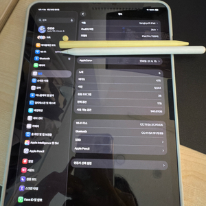 아이패드 프로 m4 11인치(1tb, wifi, 실버)