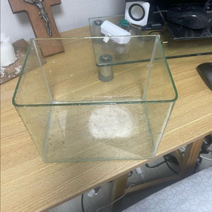 미니 어항 베타어항 룹통 알몬드잎