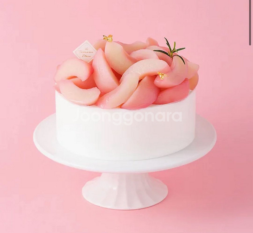 투썸플레이스 케이크 기프티콘--0