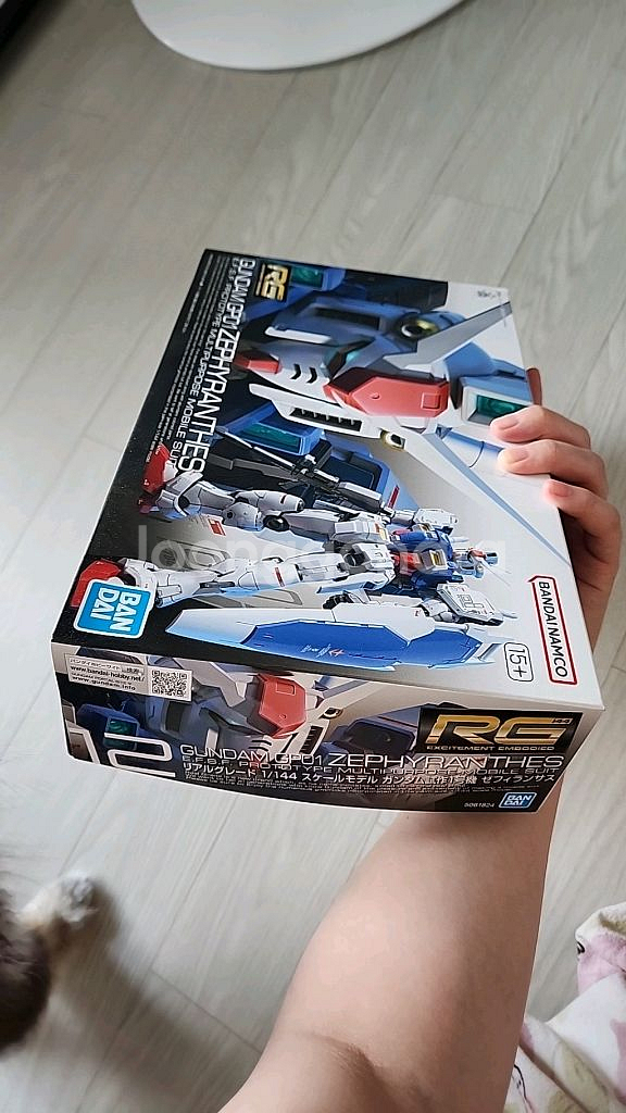 RG 12 건담 GP01 제피랜더스--3