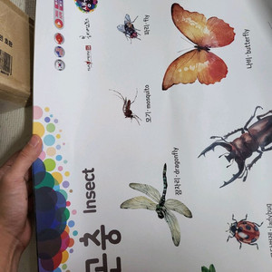 세이펜 봄이아트 생각톡톡 브로마이드 12종