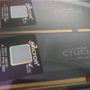 마이크론 crucial ddr5 6400 cl38