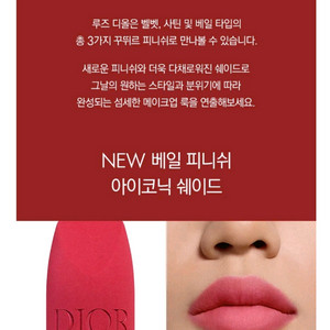 크리스탄 디올 루방 베일 261