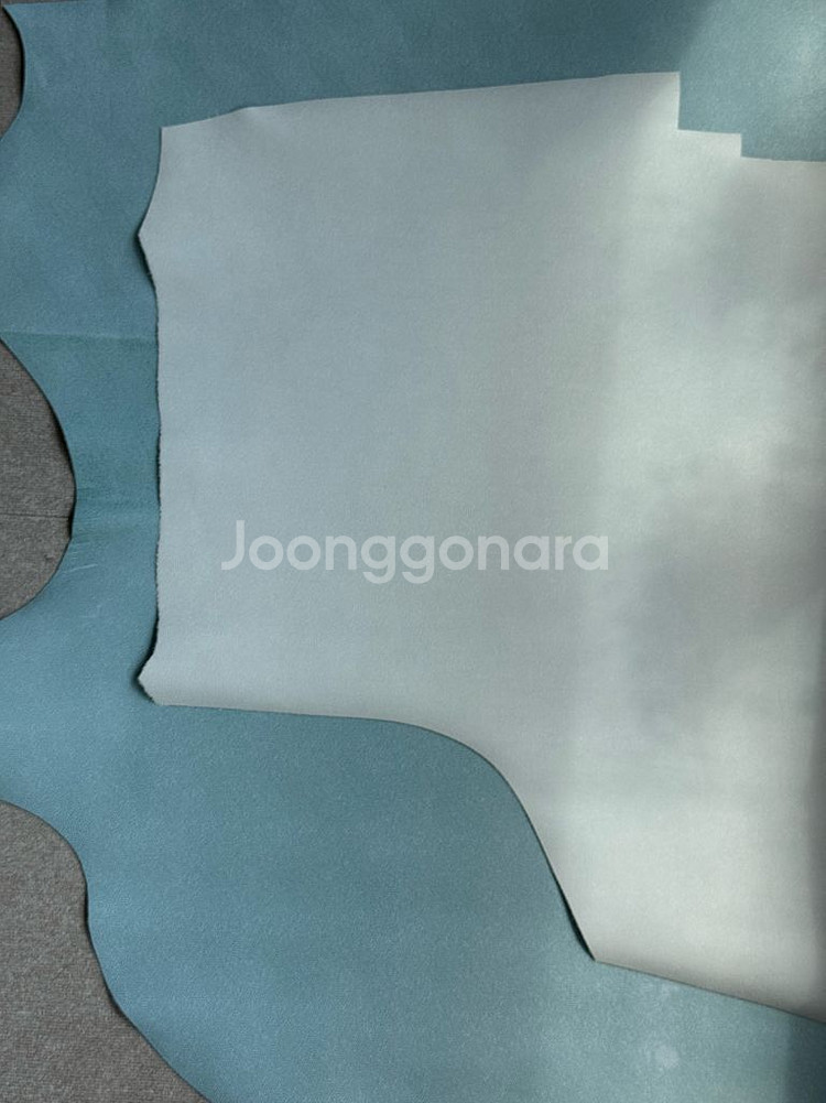 가죽공예 데제르만 앱송--1