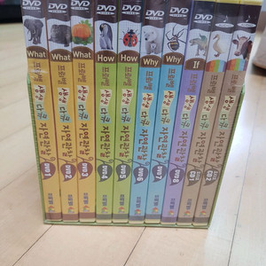 프뢰벨 생생다큐 자연관찰 미개봉cd/dvd