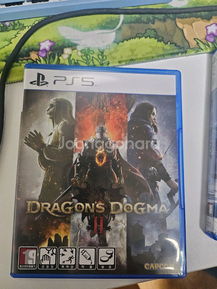 ps5 드래곤즈 도그마2--0