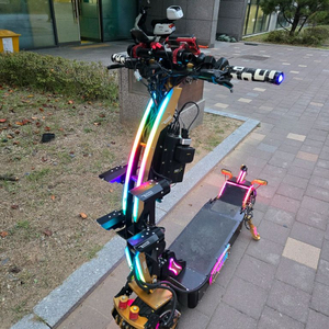 위페드 fs 골드 (급속충전기 보호장구 포함)