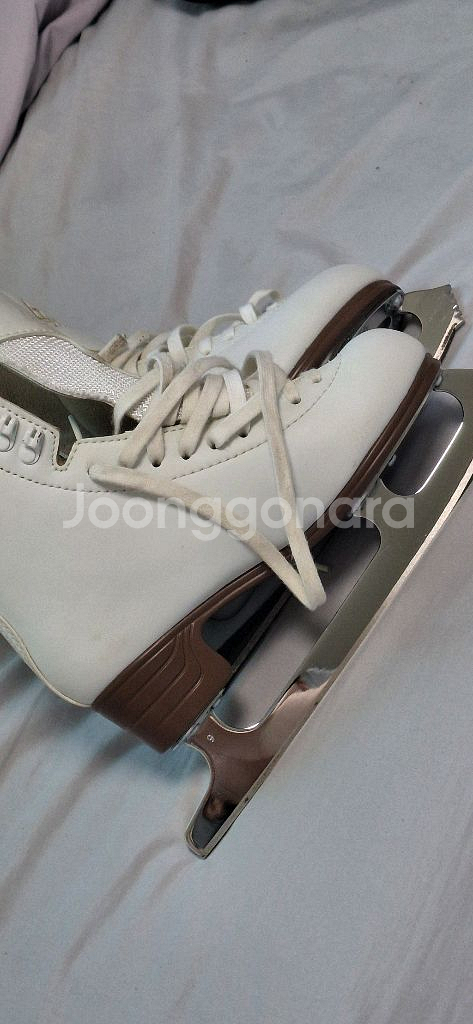 피겨화 단품 잭슨 1790 4.5(220~225)사이즈--1