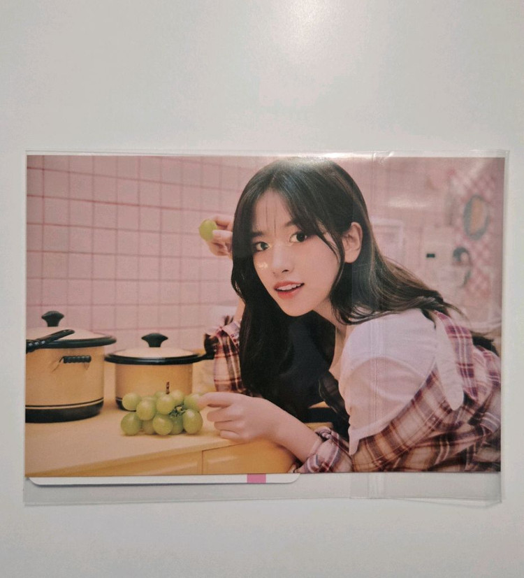 아이브 시즌 그리팅(시그) 2023 이미지