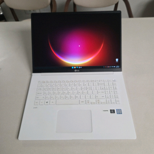 LG gram 17ZD990-GX30K 노트북