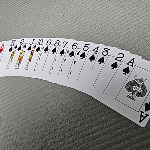 홀덤카드 포커카드 최상급품질(개당 2500원) 이미지