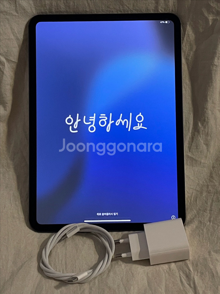 새상품급 아이패드 프로 11인치 M4 블랙 셀룰러--1
