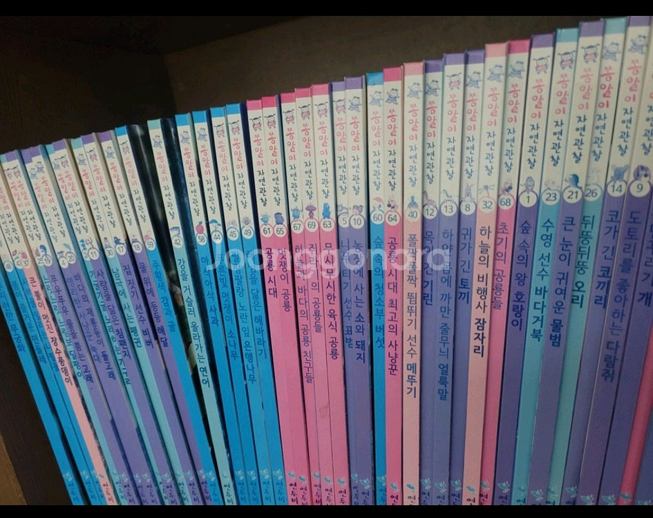 연두비 쫑알이 자연관찰 57권 + 동요CD 2장--3