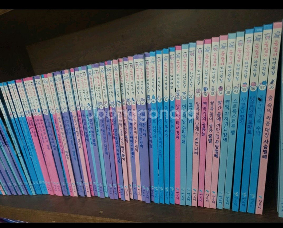 연두비 쫑알이 자연관찰 57권 + 동요CD 2장--2