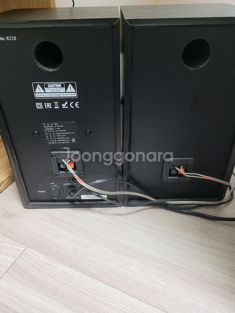 캔스톤 F&D R218스피커--1