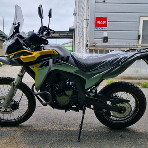 랠리300 신차 판매