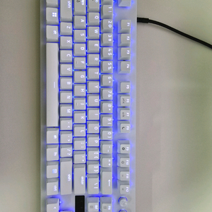 레이저 헌츠맨 엘리트 v3 pro tkl 화이트