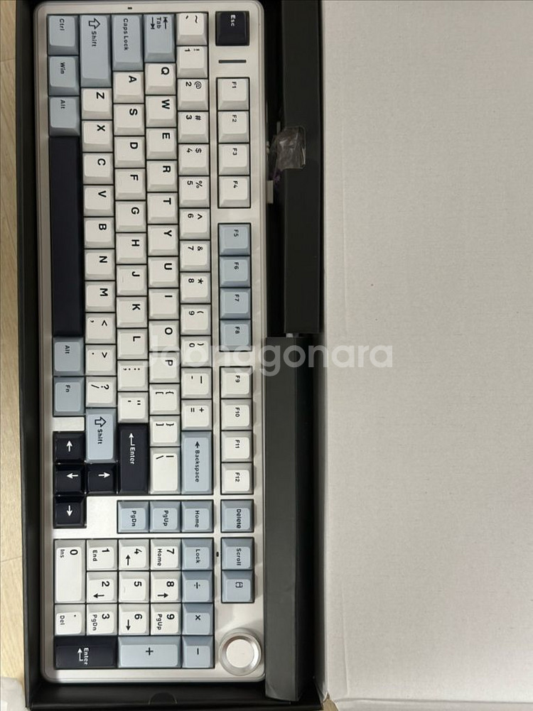 독거미 F99 Pro 퍼플축 V2 +키크론 팜레스트--0