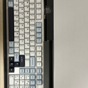독거미 F99 Pro 퍼플축 V2 +키크론 팜레스트