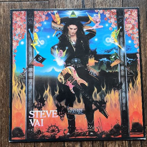 steve vai 민트