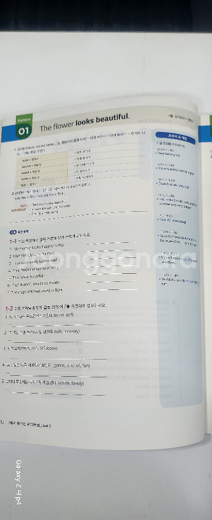 기출로 때려잡는 중학영문법 Level2--2