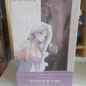 Kiwi Toys 유키 피규어