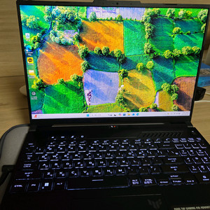 ASUS TUF Gaming A16 FA617