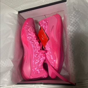 자이언3 루카2 페가수스40 260