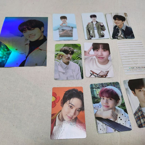 트레저 포카 음반 등