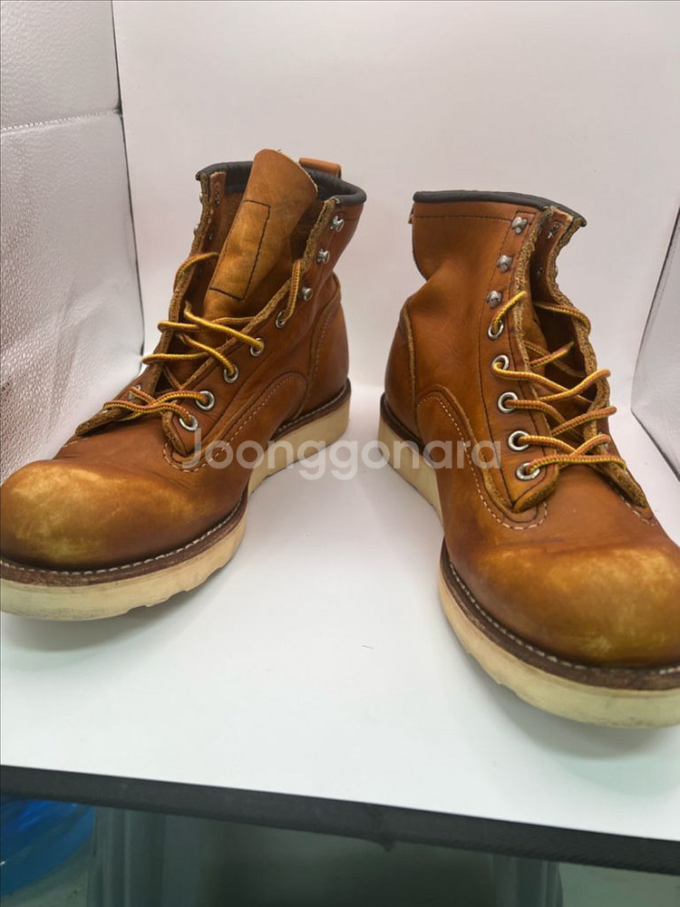 레드윙 2904 라인맨 워커 270mm--4