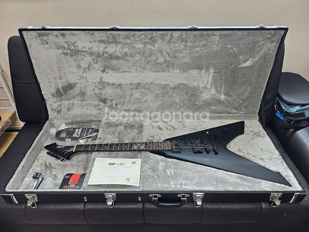 ESP BY LTD Vultlture 일렉기타 팝니다.--0
