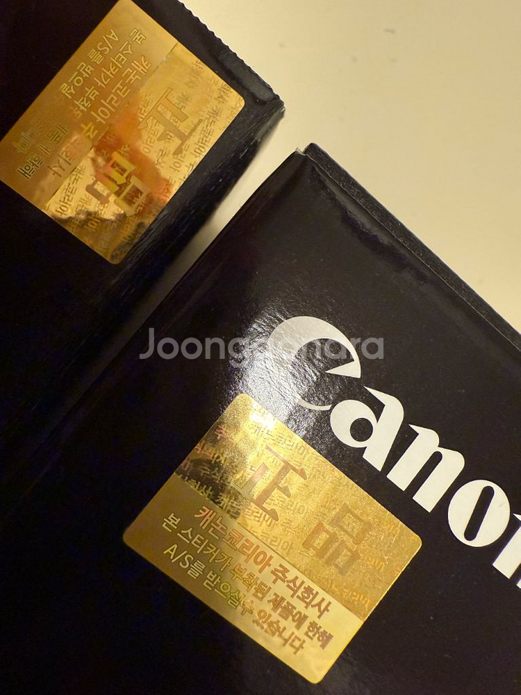 canon R6 Mark2 / RF24-70mm--1