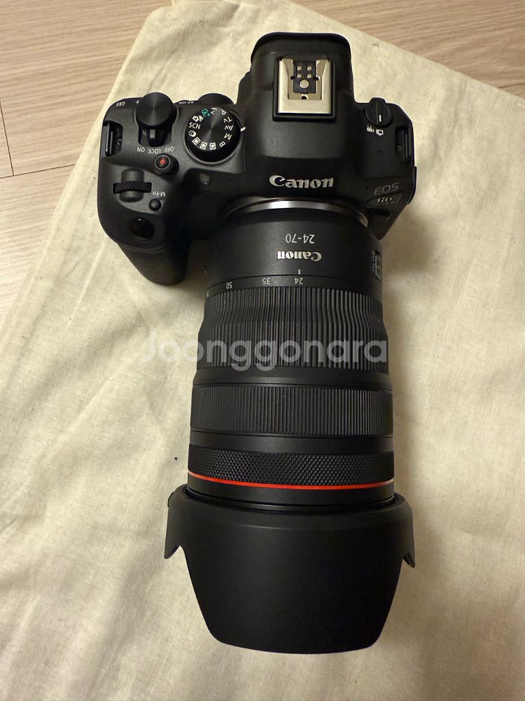 canon R6 Mark2 / RF24-70mm--3