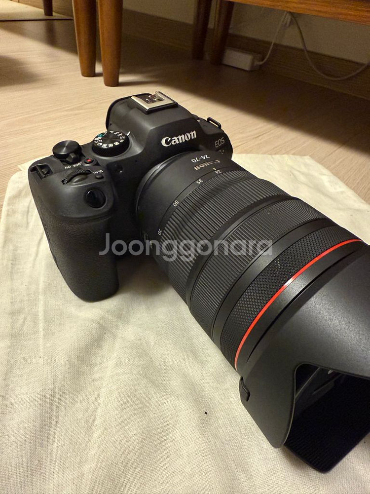 canon R6 Mark2 / RF24-70mm--2