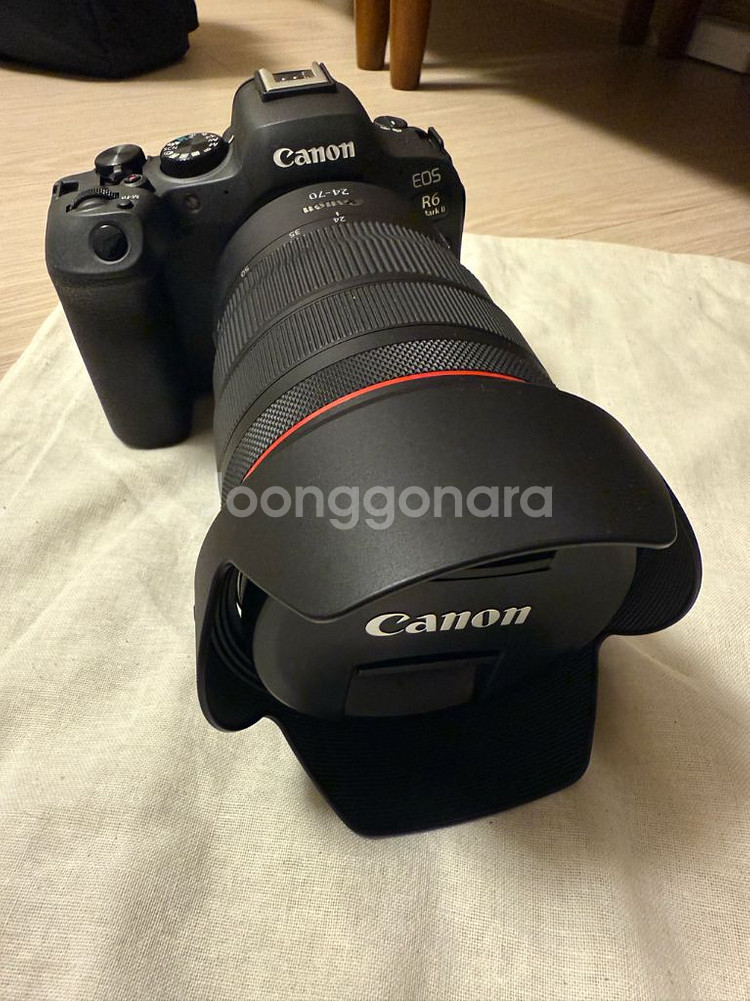 canon R6 Mark2 / RF24-70mm--6