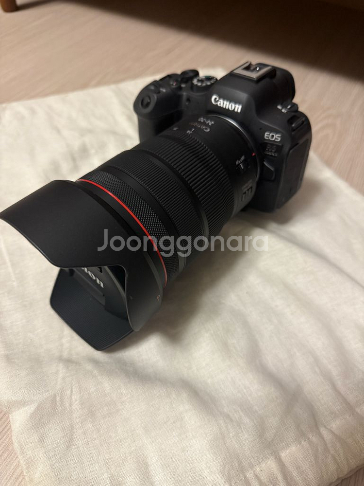 canon R6 Mark2 / RF24-70mm--4