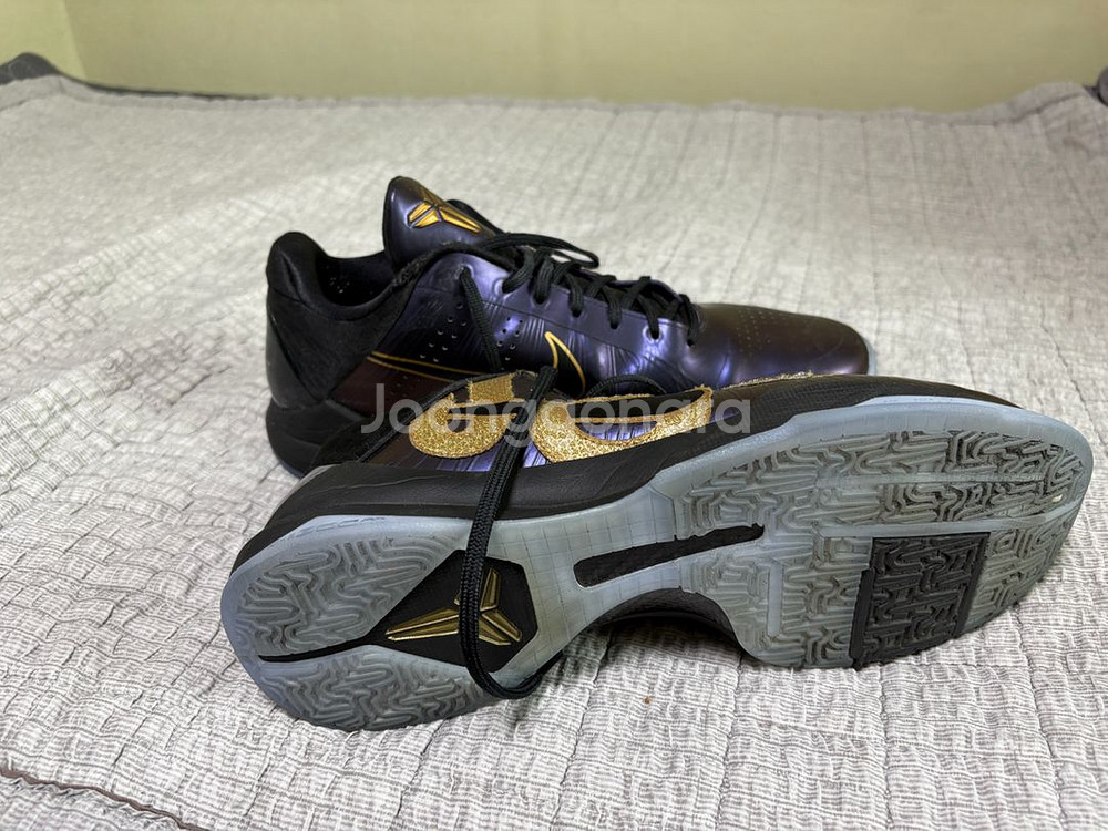 300 코비 5 year of the mamba--0