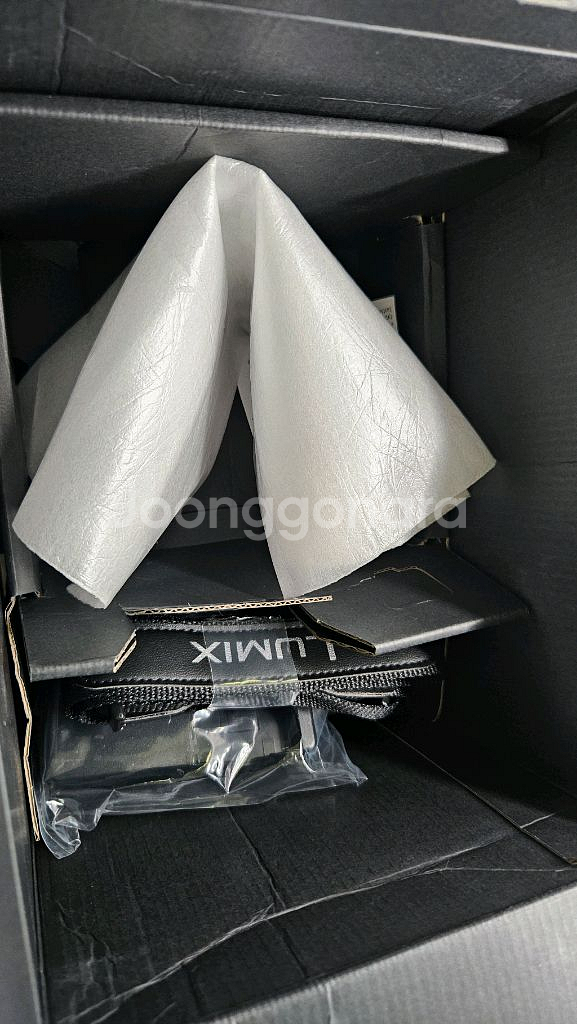 파나소닉 루믹스 FZ1000 4K 신동급 카메라--5