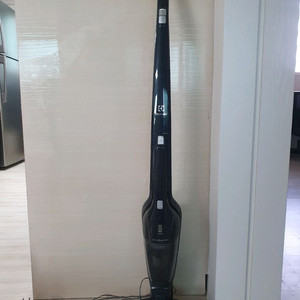 일렉트로룩스 무선청소기