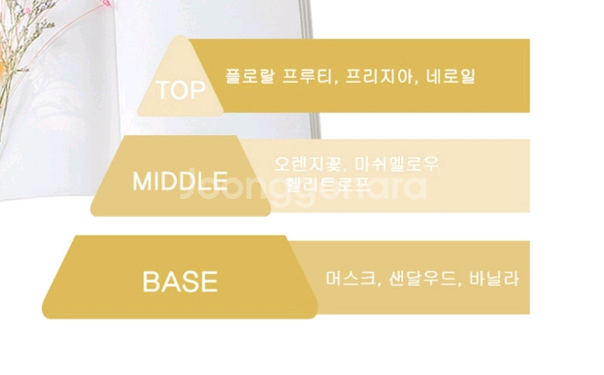 전지현 향수 디플로마 팜므 오드퍼퓸 100ml--4