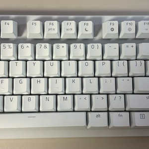 레이저 헌츠맨 v3 pro tkl 화이트